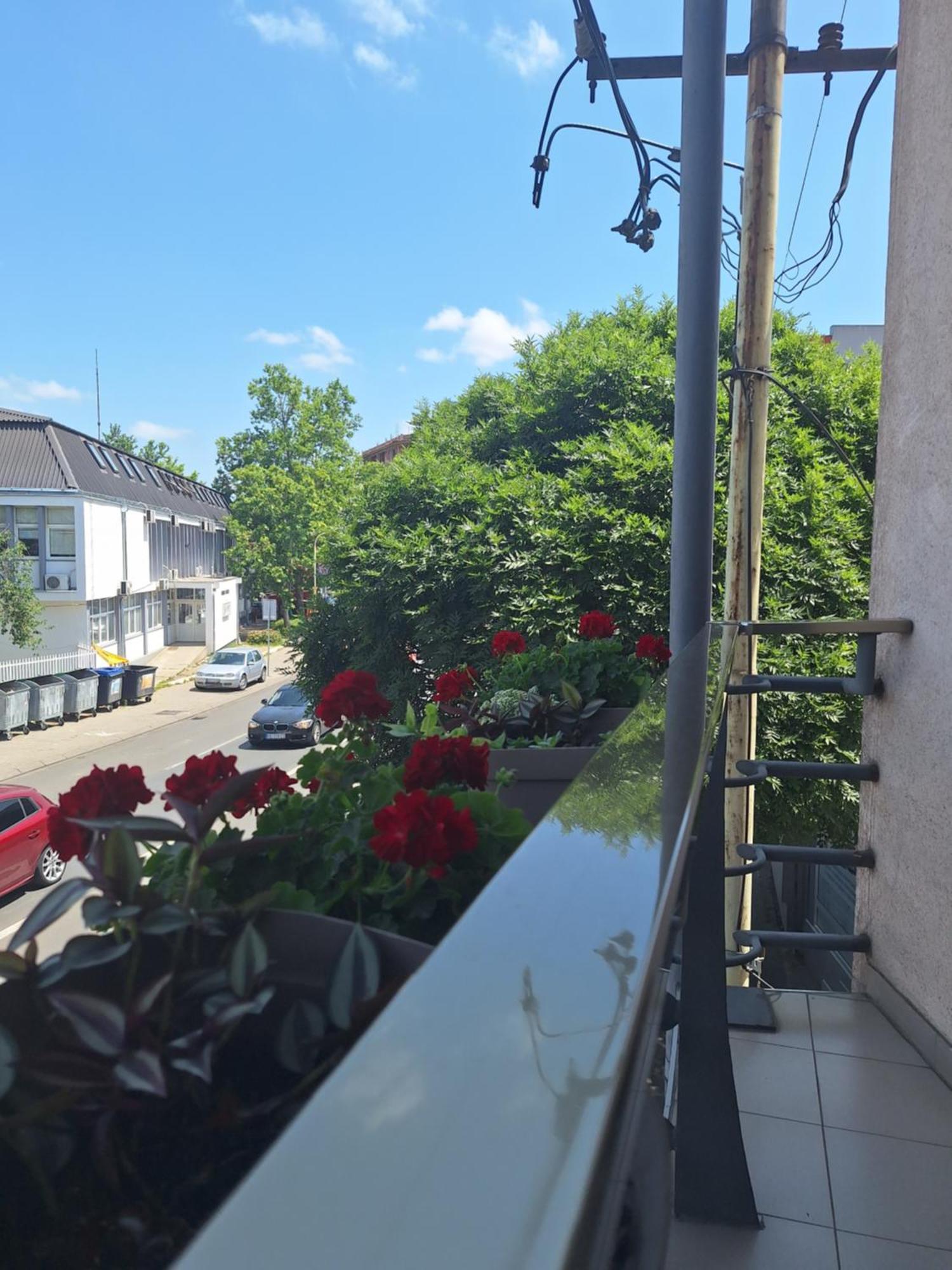 Garni Hotel Ema Kragujevac Bagian luar foto