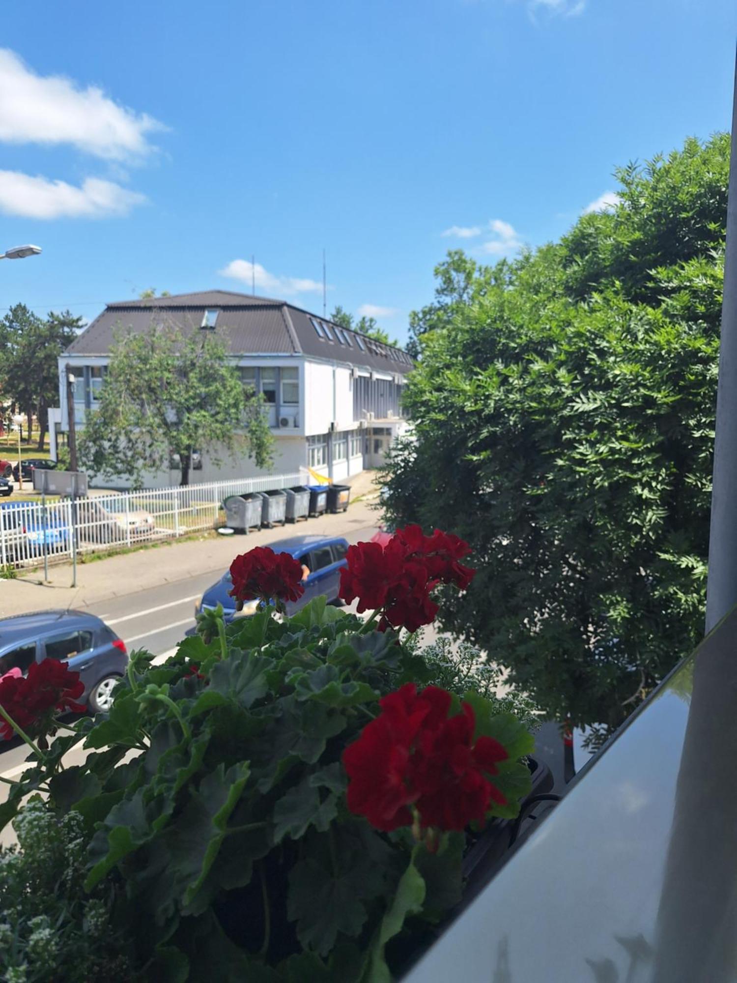 Garni Hotel Ema Kragujevac Bagian luar foto