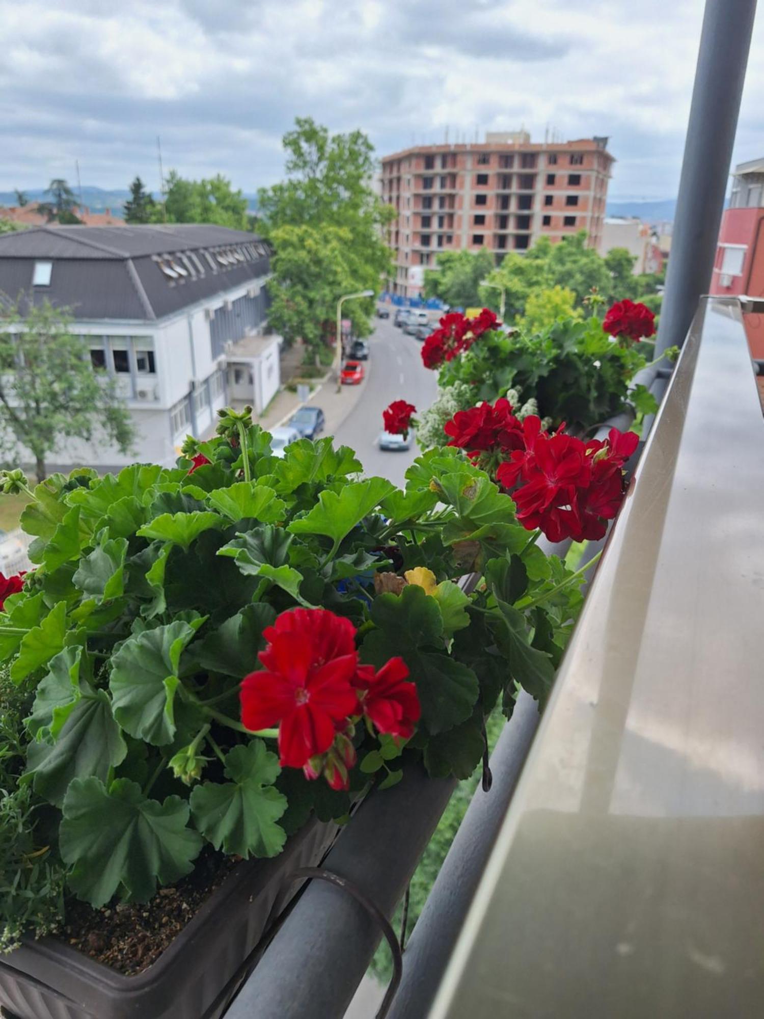 Garni Hotel Ema Kragujevac Bagian luar foto